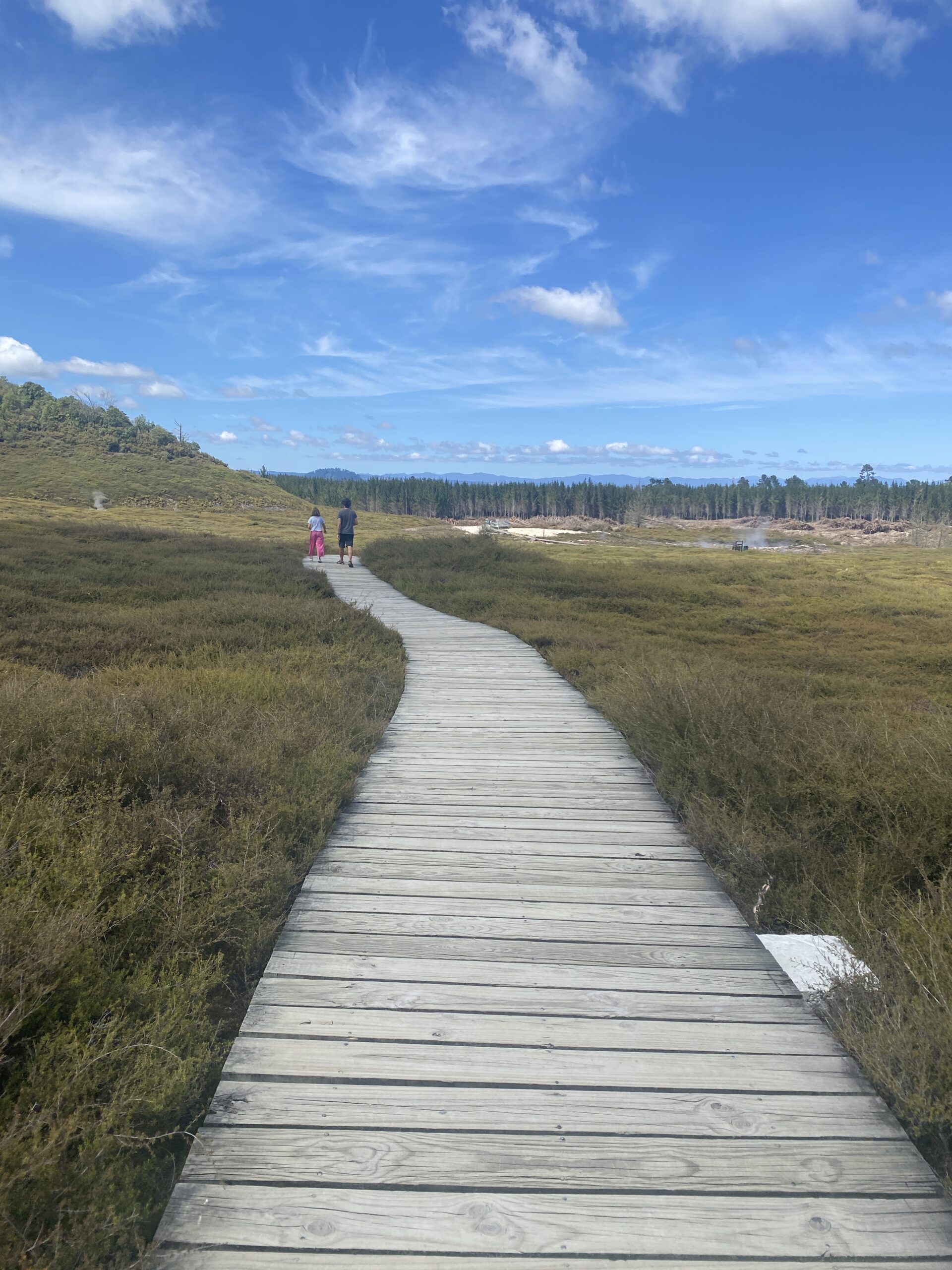 Viajar y trabajar Socialite Agency